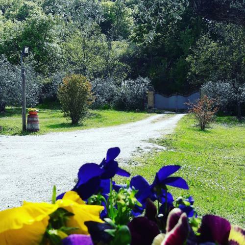Villa La Casa Di Eva