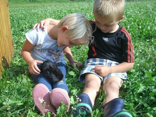 Agroturismo Kompatscherhof