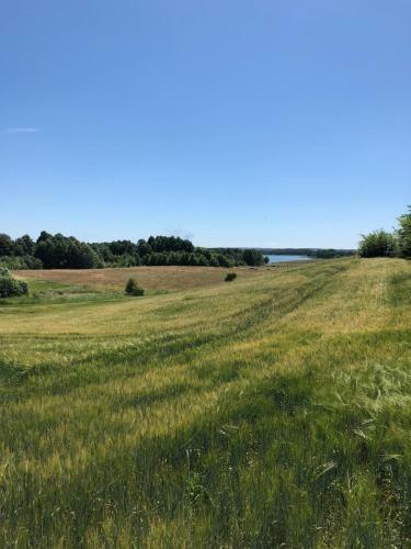 Bed & Breakfast Zielone Okiennice
