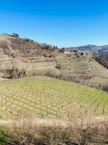 Villa Cascina Pistone - Langhe Hus Med Vinmarker