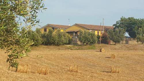 Le Casette In Collina