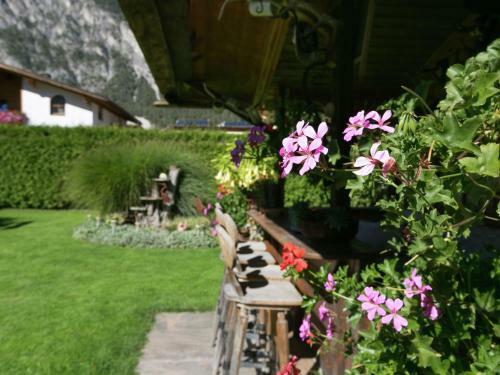 Apartamento Wammes