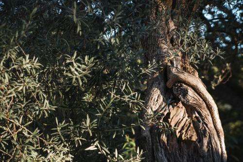 Agroturismo Villa Santa Margherita