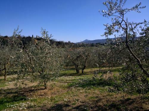 Apartamento Madonna Della Rosa