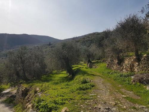 Apartamento Immerso Nel Verde