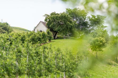 Apartamento Natur Suiten Edelweisshof