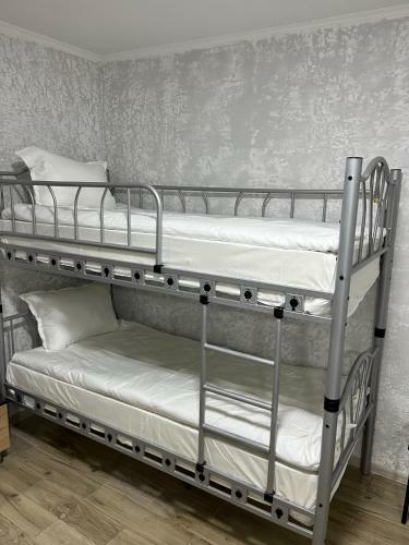 Albergue Libhouse