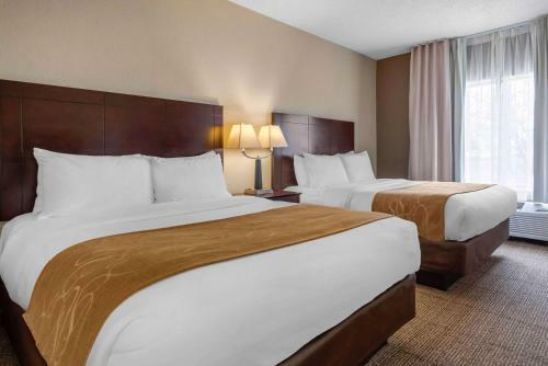 Hotel Comfort Suites Lafayette
