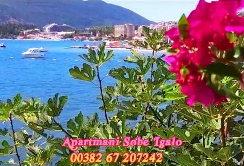 Apartmani Igalo Montenegro