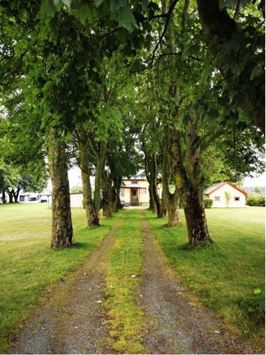 Villa Sjarmerende Hus Med Veldig Stort Uteareal.