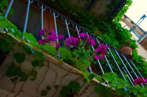 Blue House Terrace And Balcony