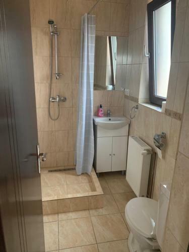 Hostal City Rooms Beiu?