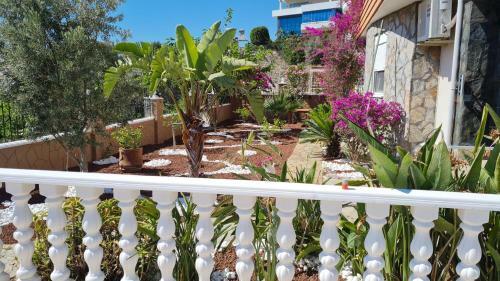 Bed & Breakfast Camelia Villa