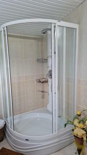 Bed & Breakfast Camelia Villa
