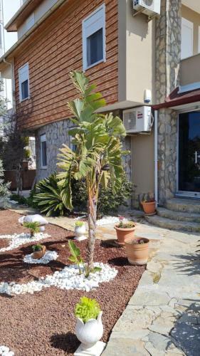 Bed & Breakfast Camelia Villa