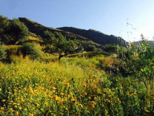Charming 1-bed Cottage In Cefalu Sicily Italy