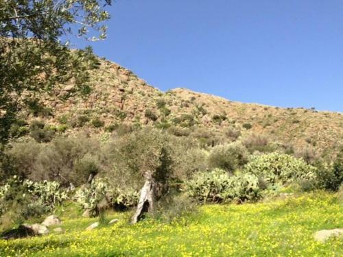 Charming 1-bed Cottage In Cefalu Sicily Italy