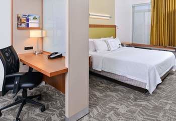 Hotel Springhill Suites By Marriott Detroit