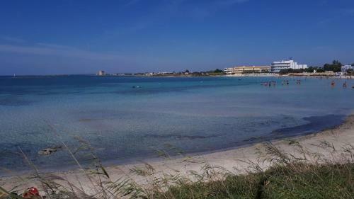 Sea Of Love