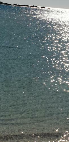 Sea Of Love