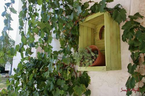 Trullo Antico
