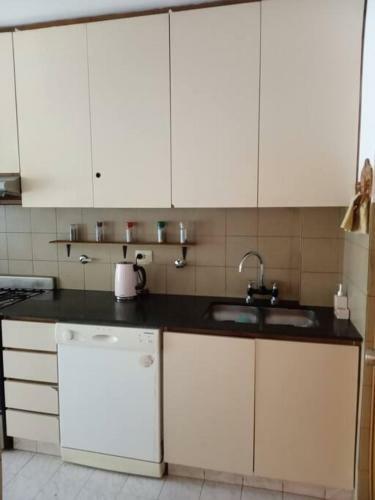 Apartamento Amplio Departamento 2 Dormitorios Microcentro