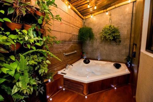 Apartamento Casa Suculenta