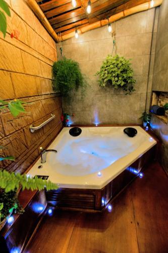 Apartamento Casa Suculenta