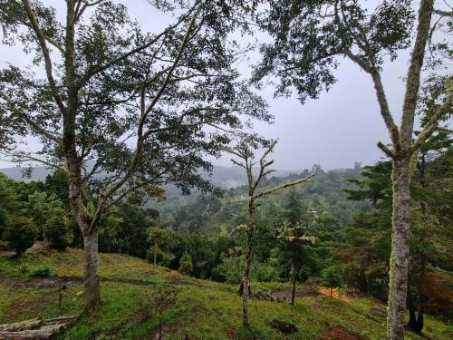 Las Bromelias Lodge