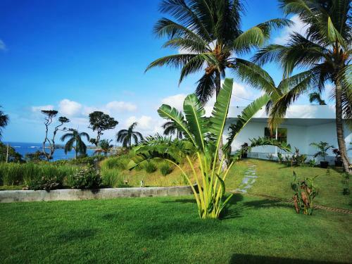 Bed & Breakfast Ocean Breeze Cove - Luxury Retreat