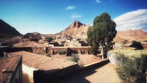 Hotel Sheikh Mousa Bedouin Camp