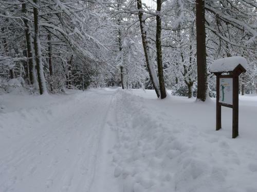Hostal Pension - Der Berghof