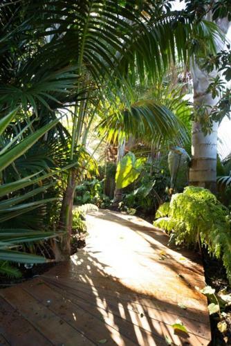 Bed & Breakfast Palm Garden Papamoa Beach Paradise