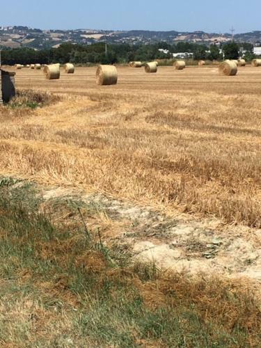 Il Filo Di Arianna Cottage Di Campagna