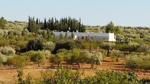 Casa Vacanze Leralora