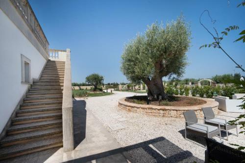Agroturismo Terra Terra - Masseria Minunni