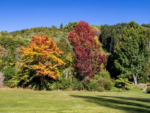 Kauri Cottage - Marahau Holiday Home