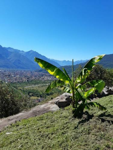 Bed & Breakfast Ossola Dal Monte