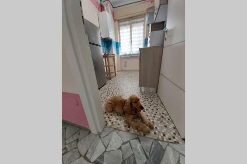 Apartamento Appartamento Allegro