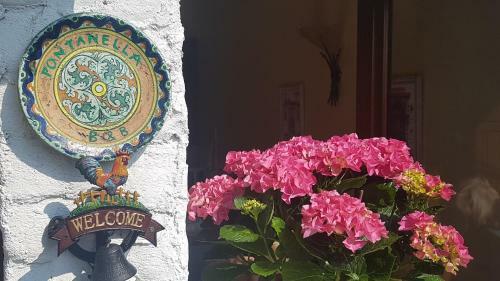 B&B Fontanella