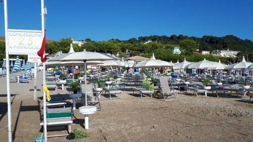 Apartamento Appartamento Con Balcone Vicino Al Mare
