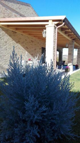 Agroturismo B&B Casalfarano