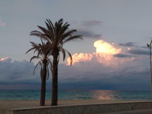 Il Golfo Di Cofano