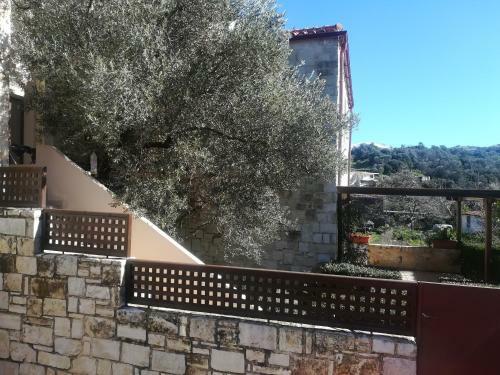 Olive Tree House