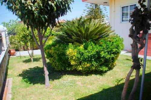 Apartamento Amalias Place