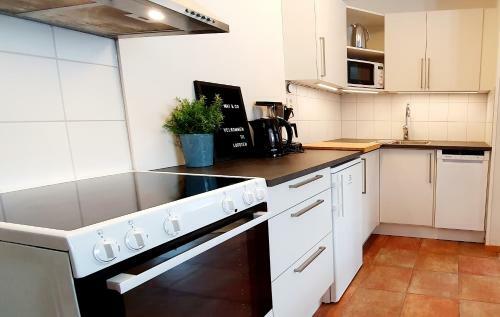 Lofoten Home Apartment