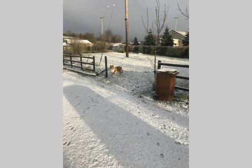 Apartamento The Byre (Unusual And Different).