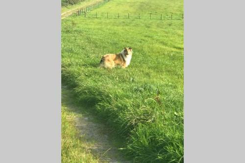 Apartamento The Byre (Unusual And Different).