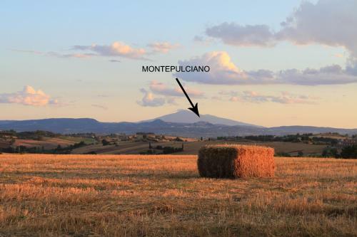 Agroturismo Fattoria Borgonuovo