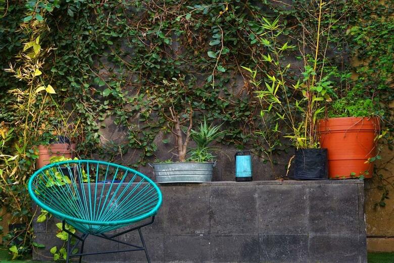 Blue Pepper Hostel Chapultepec